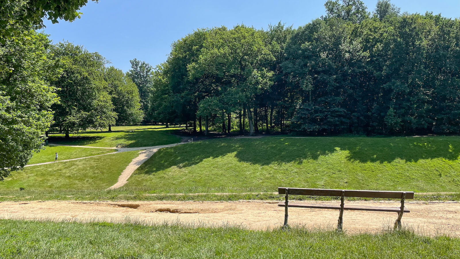 le bois de la cambre