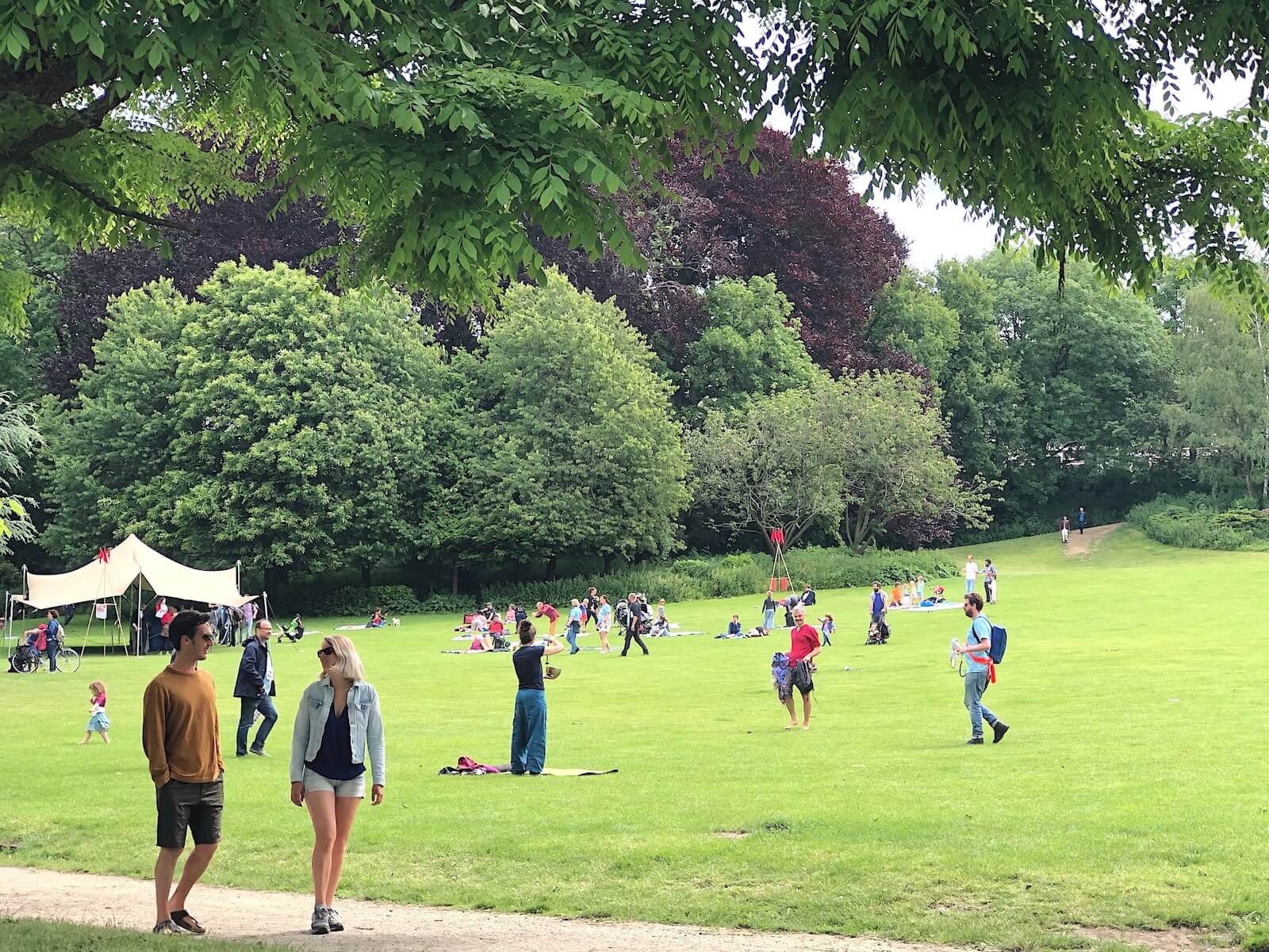 personnes se baladant dans le parc de Forest